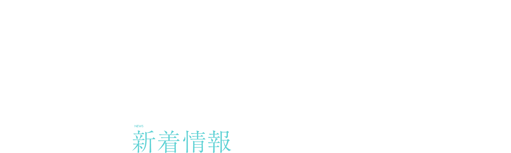 新着情報